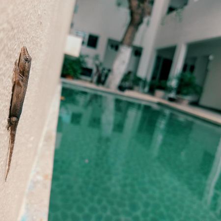 Cozy Studios Zazil-Ha Playa del Carmen Luaran gambar