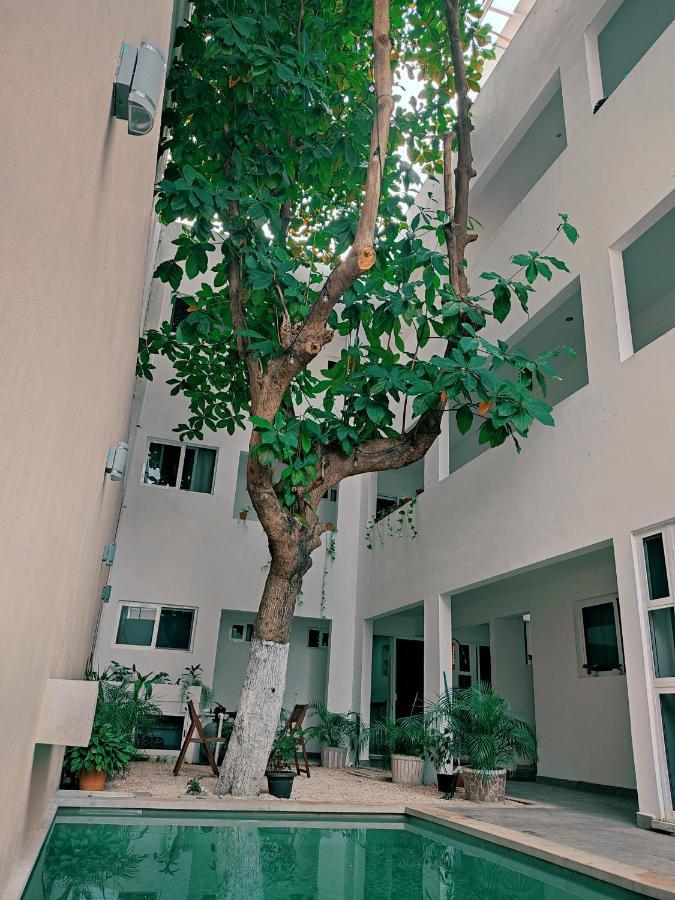 Cozy Studios Zazil-Ha Playa del Carmen Luaran gambar